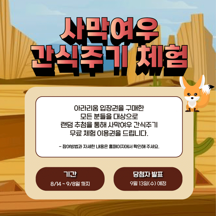 사막여우 간식주기 이벤트